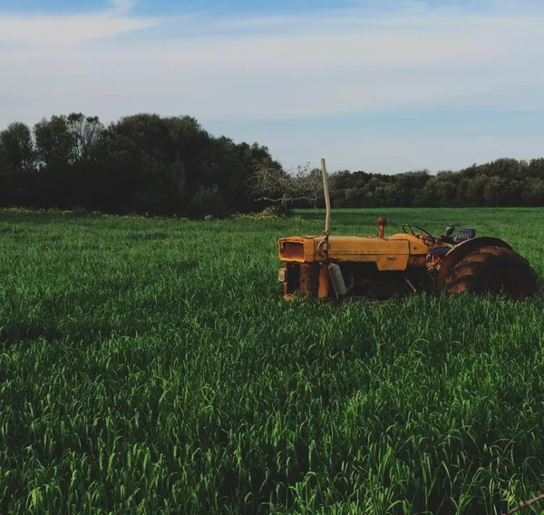 Agriculture & AgriTech AI solutions