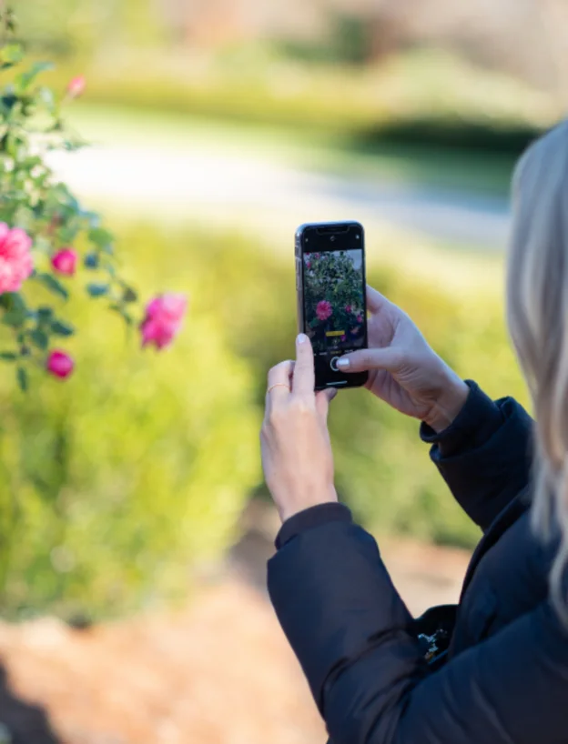 Understanding the Customer Voice